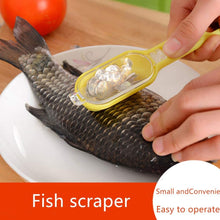 Load image into Gallery viewer, Fish Clean Scaler with Clear Cover
