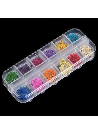 12 Cell Storage Beads Case Or Other Nail Art Products Articulated for effortless adherence and removal Clear