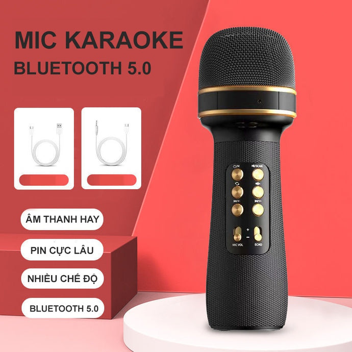 WS-898 Bluetooth Wireless Music Sing Mic